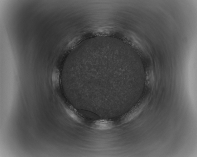 X0000116430231200912151024