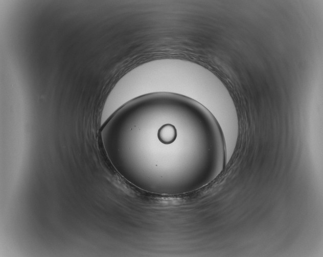 X0000116430233200912151024