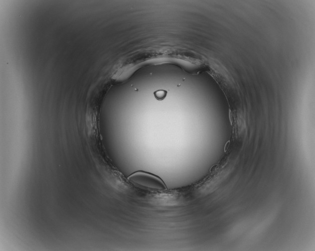 X0000116430236200912151024