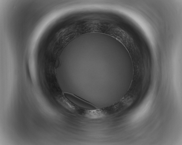 X0000116430239200912151024