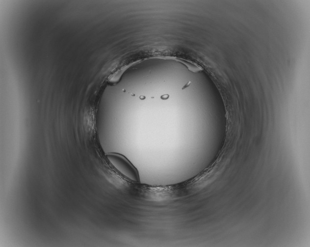 X0000116430240200912151024