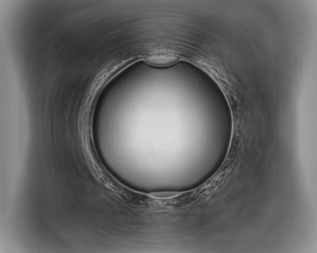 X0000116430241200912151024