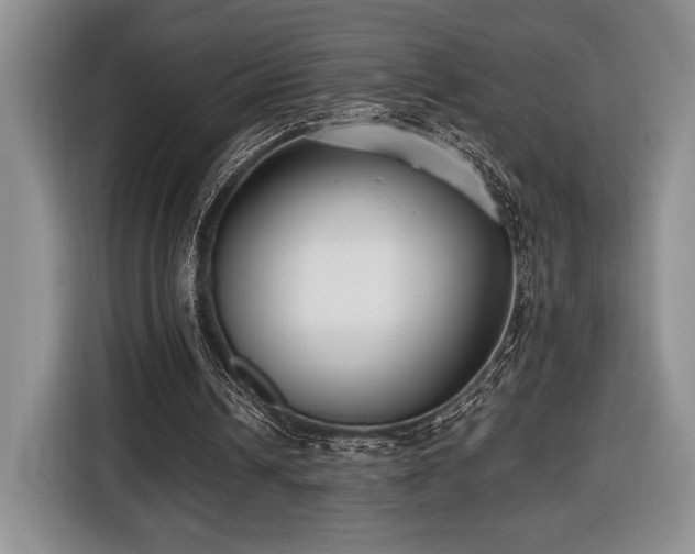 X0000116430242200912151024