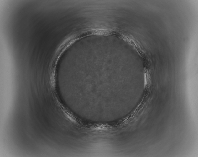 X0000116430243200912151024