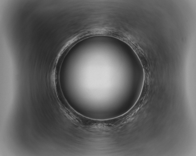 X0000116430244200912151024