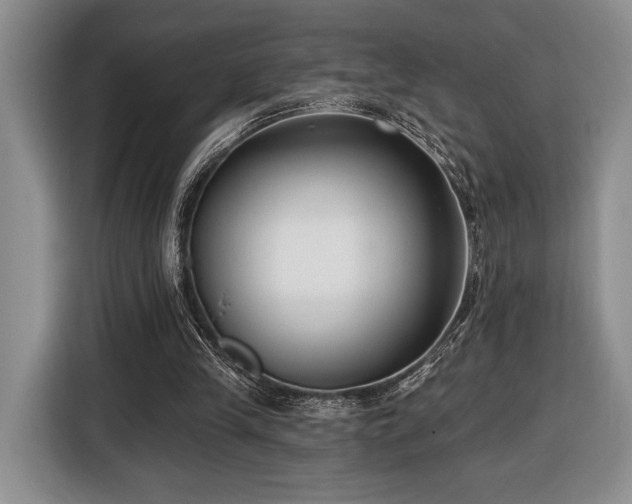 X0000116430245200912151024