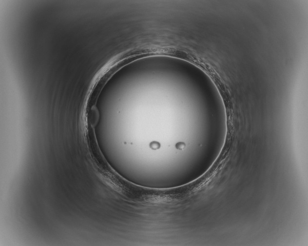 X0000116430246200912151024