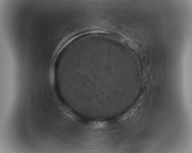X0000116430247200912151024