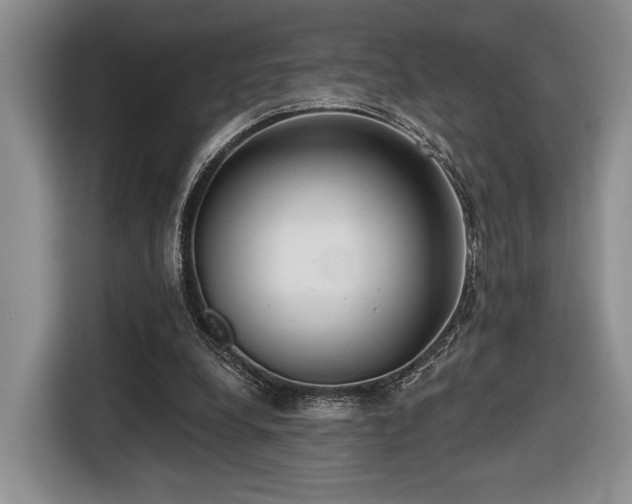 X0000116430248200912151024