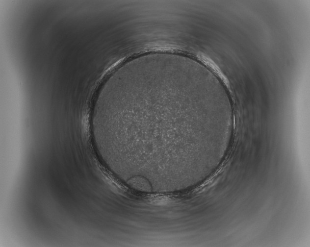 X0000116430249200912151024