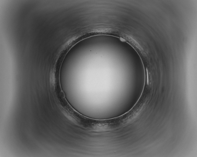 X0000116430252200912151024