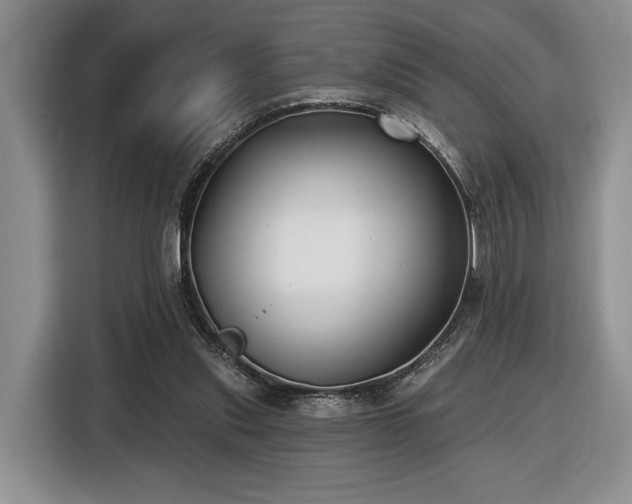 X0000116430253200912151024