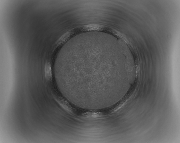 X0000116430254200912151024