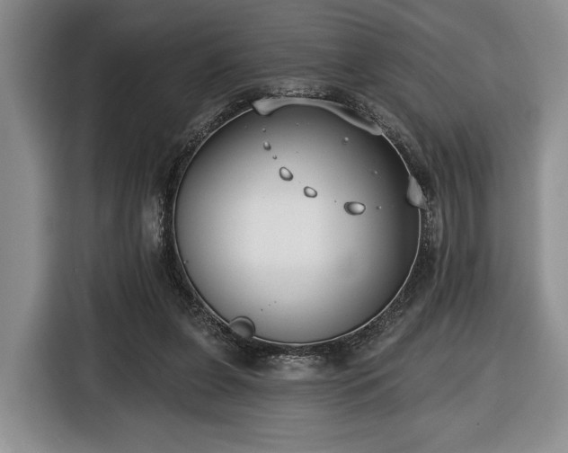 X0000116430255200912151024