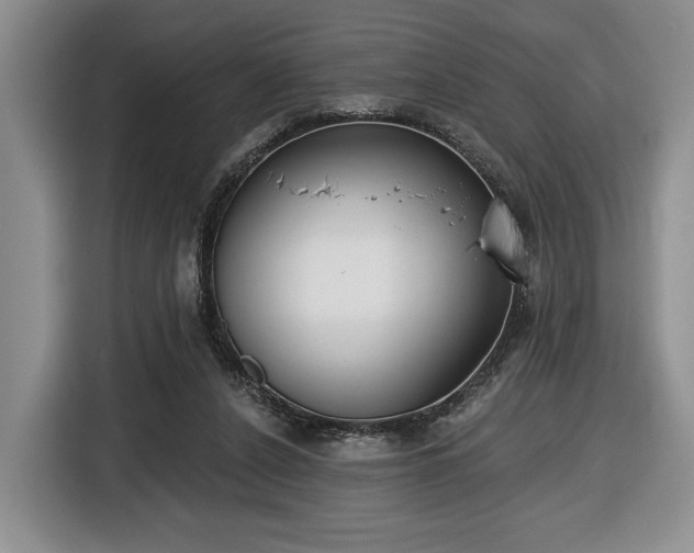 X0000116430256200912151024