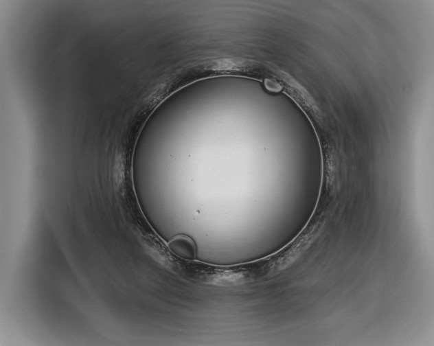 X0000116430257200912151024