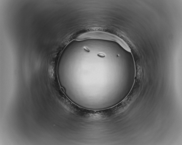 X0000116430259200912151024