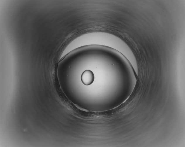 X0000116430260200912151024