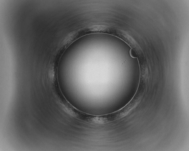 X0000116430261200912151024