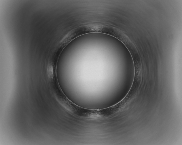 X0000116430262200912151024
