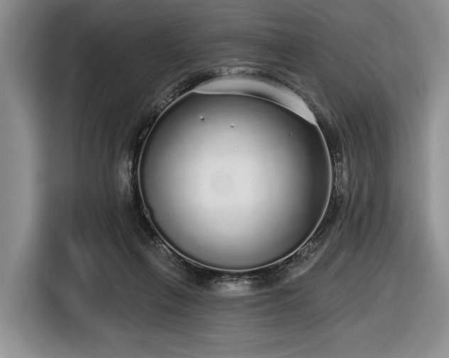 X0000116430263200912151024