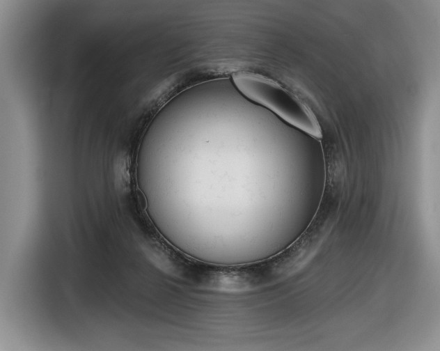 X0000116430264200912151024