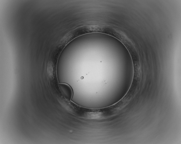 X0000116430266200912151024
