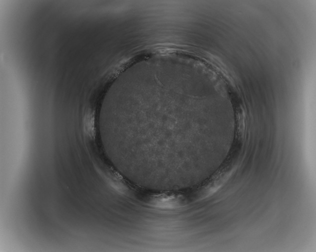 X0000116430267200912151024