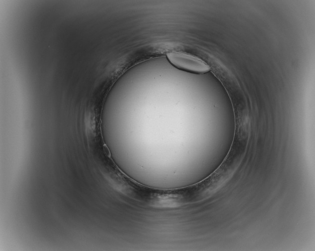 X0000116430268200912151024