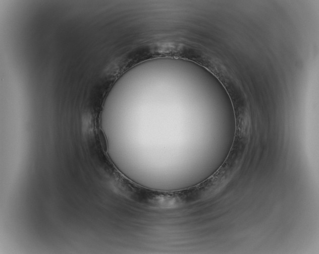 X0000116430272200912151024