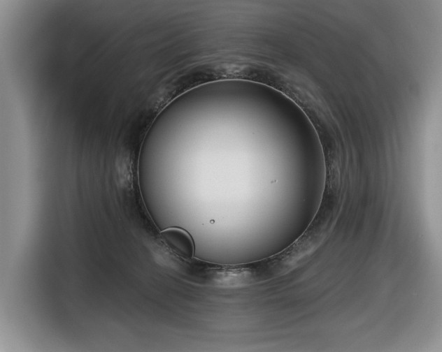 X0000116430274200912151024