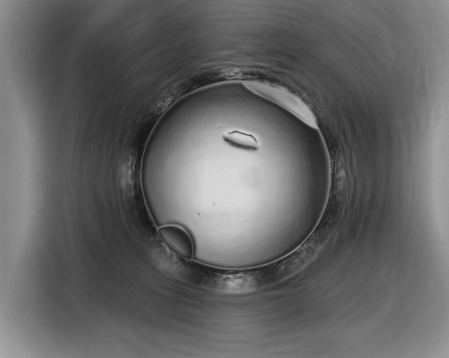 X0000116430275200912151024