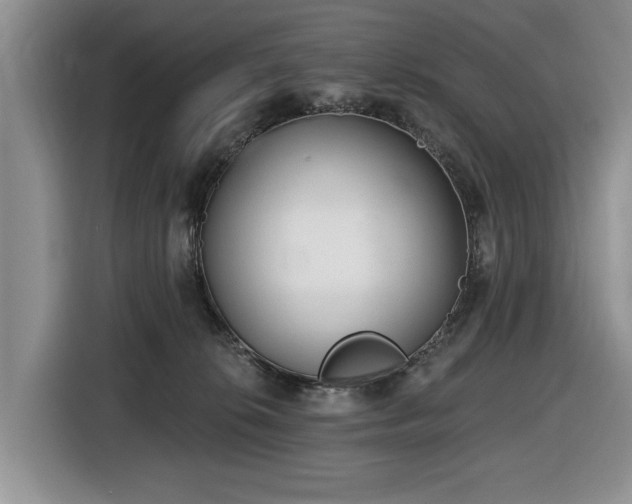 X0000116430276200912151024