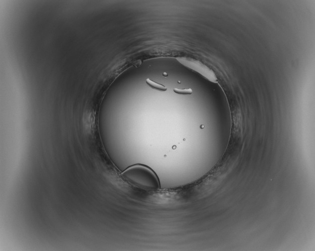 X0000116430278200912151024