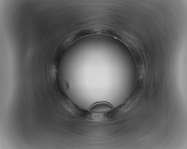 X0000116430279200912151024