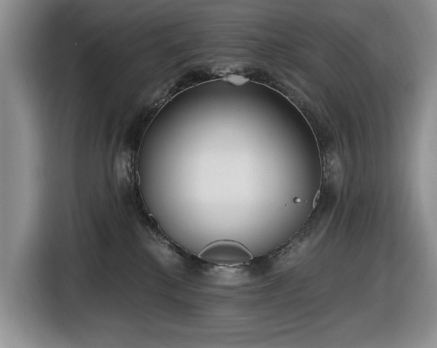 X0000116430280200912151024