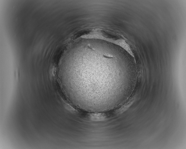 X0000116430281200912151024