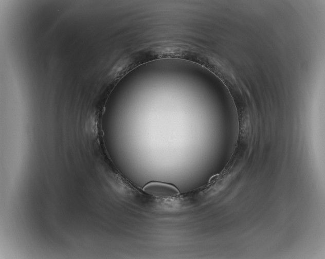 X0000116430282200912151024
