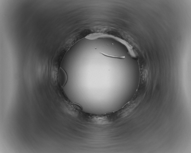 X0000116430283200912151024