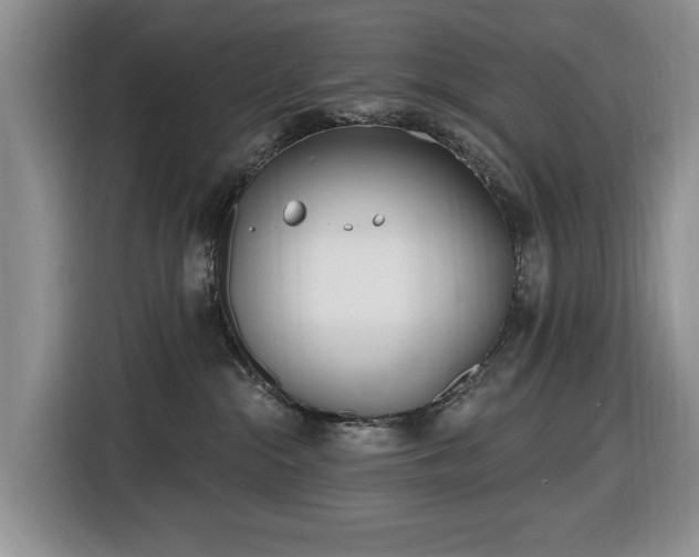X0000116430284200912151024