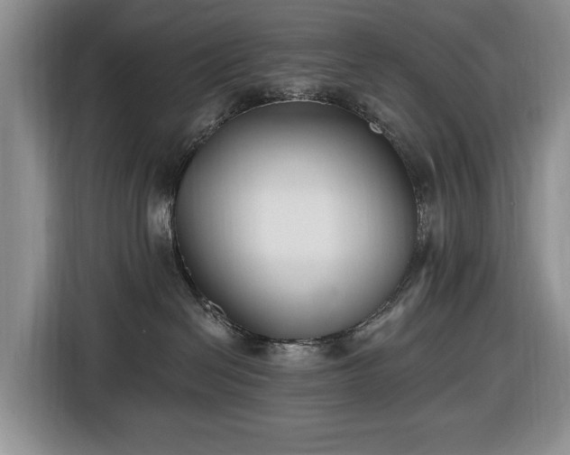 X0000116430286200912151024