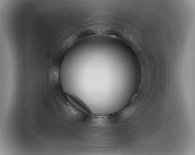 X0000116430288200912151024