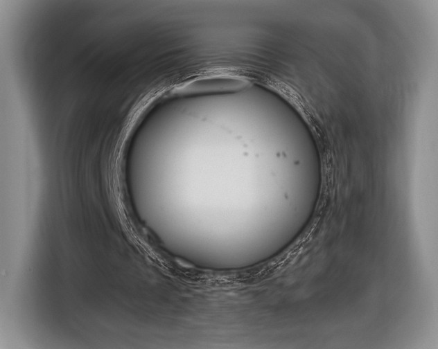 X0000116430289200912151024