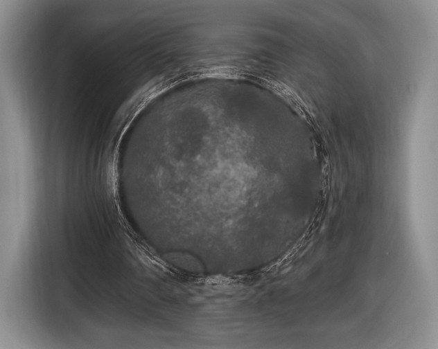 X0000116430290200912151024