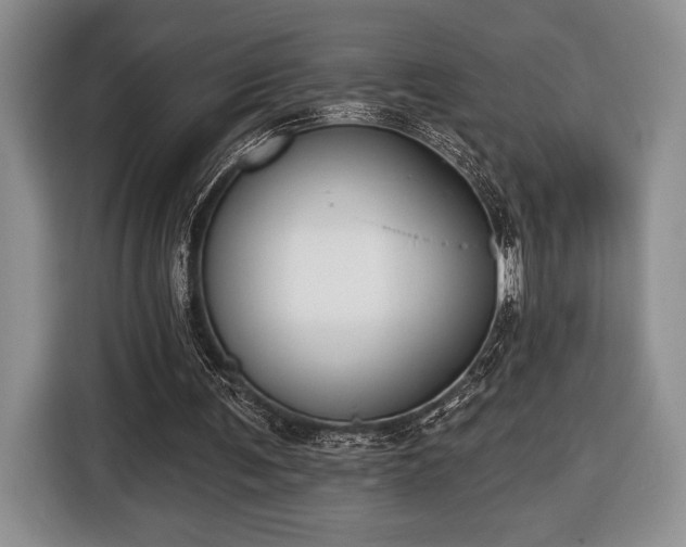 X0000116430291200912151024