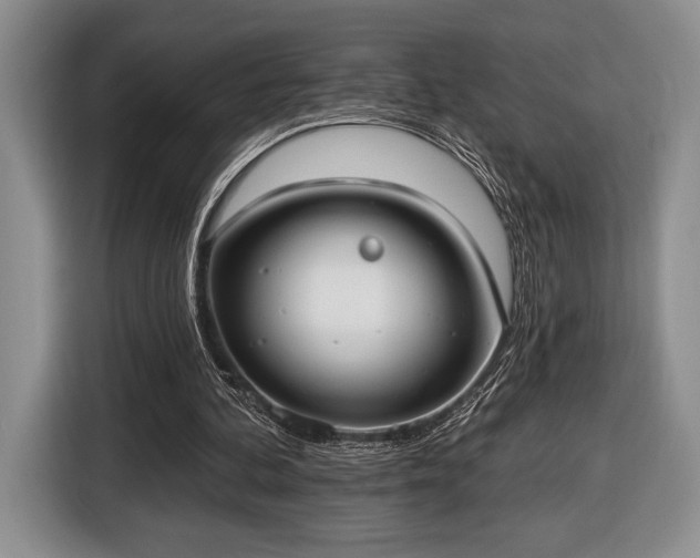 X0000116430292200912151024