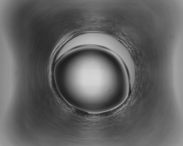 X0000116430293200912151024