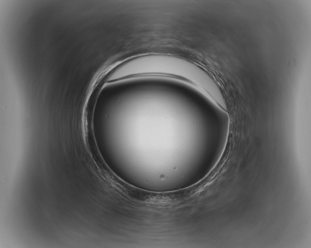 X0000116430294200912151024