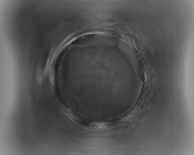 X0000116430295200912151024