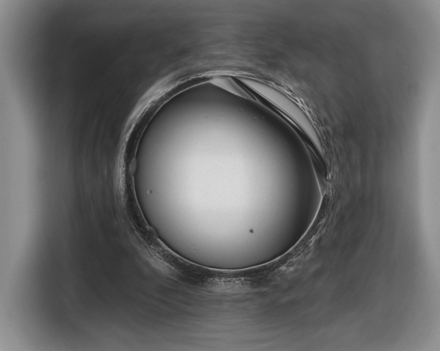 X0000116430296200912151024